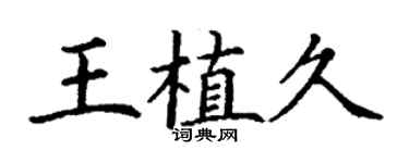 丁謙王植久楷書個性簽名怎么寫