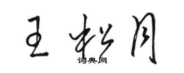 駱恆光王松月草書個性簽名怎么寫