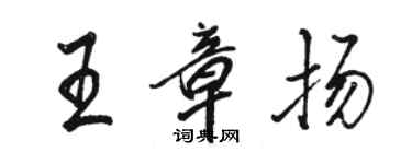 駱恆光王章揚行書個性簽名怎么寫