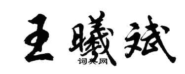 胡問遂王曦斌行書個性簽名怎么寫