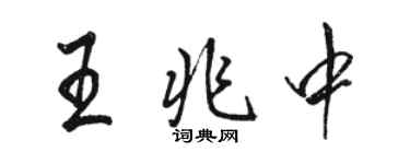 駱恆光王兆中行書個性簽名怎么寫