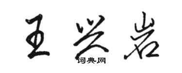 駱恆光王興岩行書個性簽名怎么寫