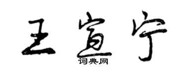 曾慶福王宣寧行書個性簽名怎么寫