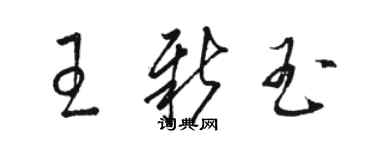 駱恆光王新玉草書個性簽名怎么寫