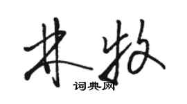 駱恆光林牧草書個性簽名怎么寫