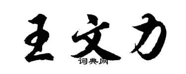 胡問遂王文力行書個性簽名怎么寫
