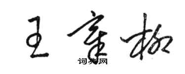 駱恆光王章柳草書個性簽名怎么寫