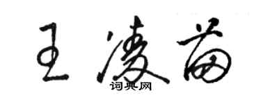 駱恆光王凌苗草書個性簽名怎么寫