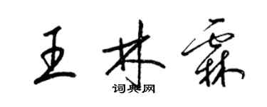 梁錦英王林霖草書個性簽名怎么寫