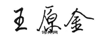 駱恆光王原金行書個性簽名怎么寫