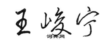 駱恆光王峻寧行書個性簽名怎么寫