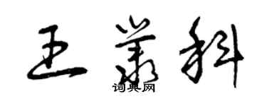 曾慶福王叢科草書個性簽名怎么寫