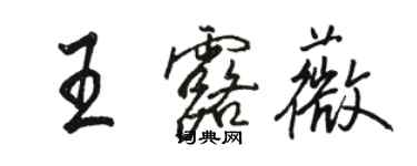 駱恆光王露薇行書個性簽名怎么寫