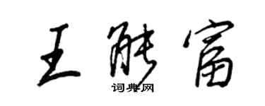 王正良王能富行書個性簽名怎么寫