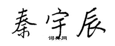 王正良秦宇辰行書個性簽名怎么寫