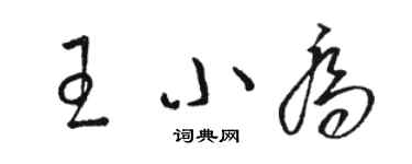 駱恆光王小喬草書個性簽名怎么寫