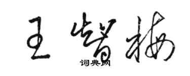 駱恆光王智梅草書個性簽名怎么寫