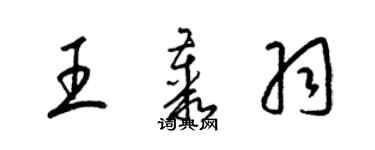 梁錦英王叢羽草書個性簽名怎么寫