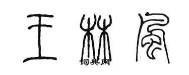 陳墨王林風篆書個性簽名怎么寫