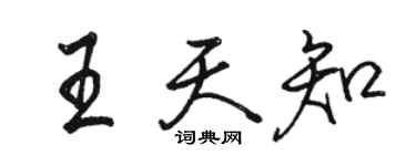 駱恆光王天知行書個性簽名怎么寫