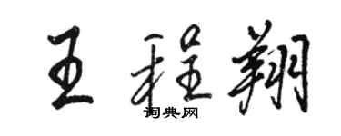 駱恆光王程翔行書個性簽名怎么寫