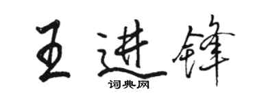 駱恆光王進鋒行書個性簽名怎么寫