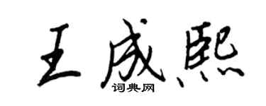 王正良王成熙行書個性簽名怎么寫