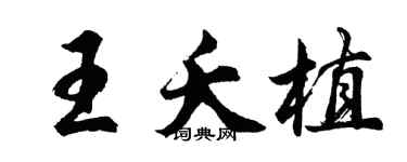 胡問遂王夭植行書個性簽名怎么寫