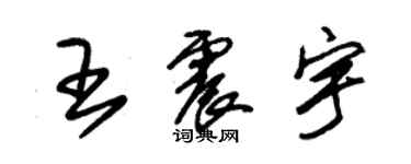 朱錫榮王震宇草書個性簽名怎么寫