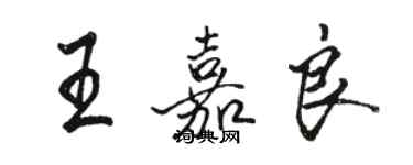 駱恆光王嘉良行書個性簽名怎么寫