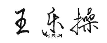 駱恆光王樂操行書個性簽名怎么寫