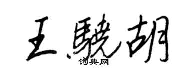 王正良王驍胡行書個性簽名怎么寫