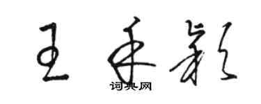 駱恆光王禾穎草書個性簽名怎么寫