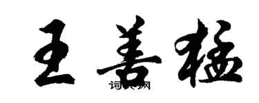 胡問遂王善猛行書個性簽名怎么寫