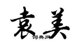 胡問遂袁美行書個性簽名怎么寫