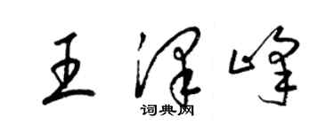 梁錦英王澤峰草書個性簽名怎么寫