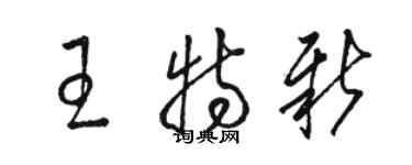 駱恆光王特新草書個性簽名怎么寫