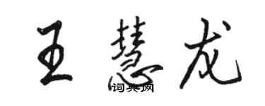 駱恆光王慧龍行書個性簽名怎么寫