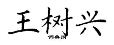 丁謙王樹興楷書個性簽名怎么寫