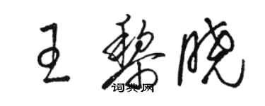 駱恆光王黎曉草書個性簽名怎么寫