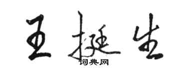 駱恆光王挺生行書個性簽名怎么寫