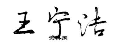 曾慶福王寧潔行書個性簽名怎么寫