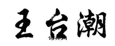 胡問遂王台潮行書個性簽名怎么寫