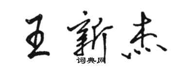 駱恆光王新傑行書個性簽名怎么寫