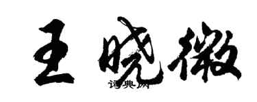 胡問遂王曉微行書個性簽名怎么寫