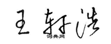 駱恆光王軒浩草書個性簽名怎么寫