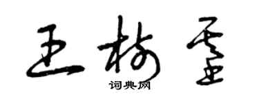 曾慶福王樹基草書個性簽名怎么寫