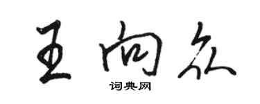 駱恆光王向眾行書個性簽名怎么寫