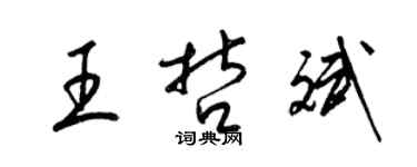 梁錦英王哲斌草書個性簽名怎么寫