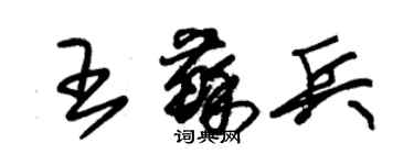 朱錫榮王蘇兵草書個性簽名怎么寫